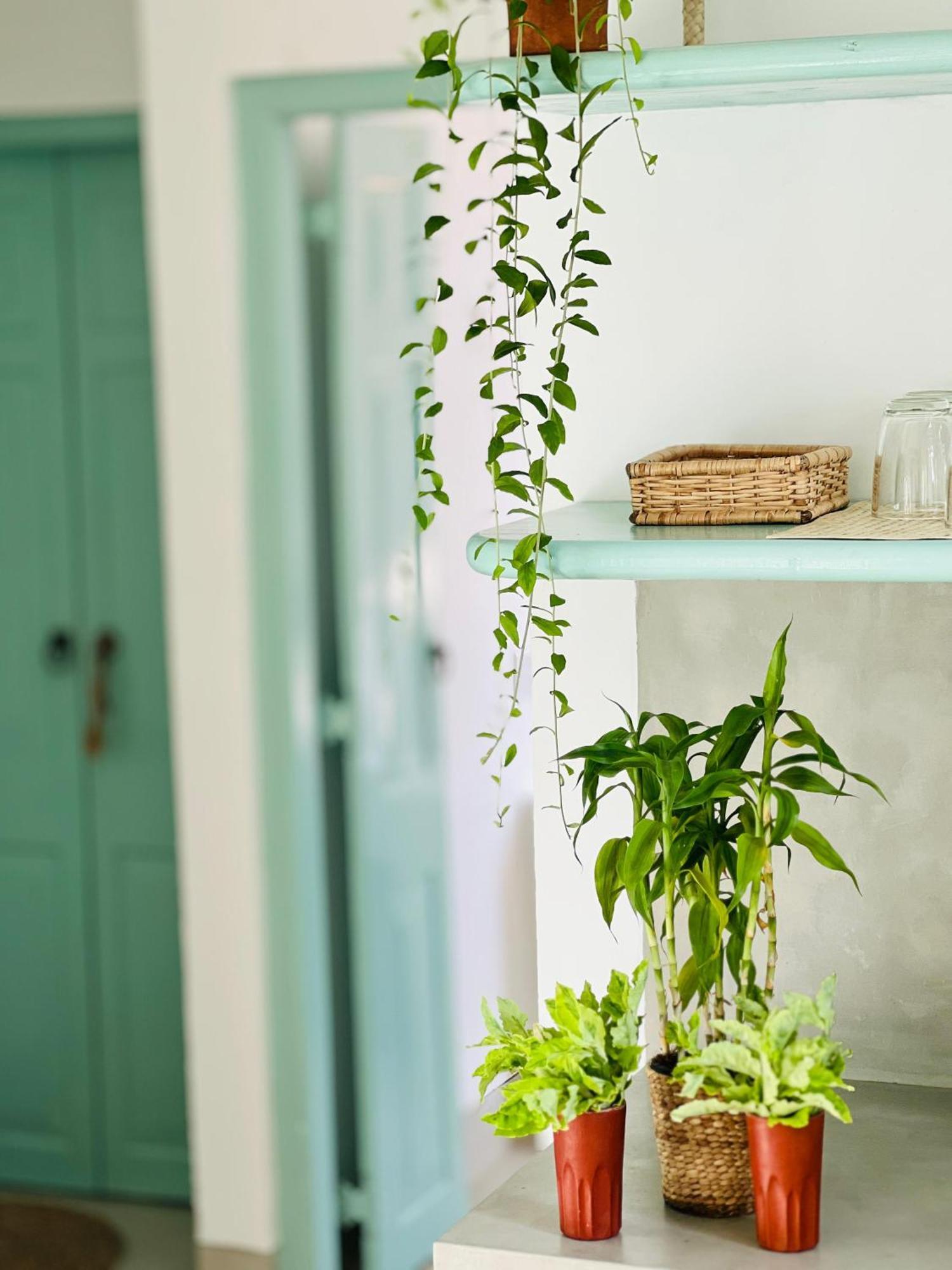 Water'S Edge Villa Ahangama Ngoại thất bức ảnh
