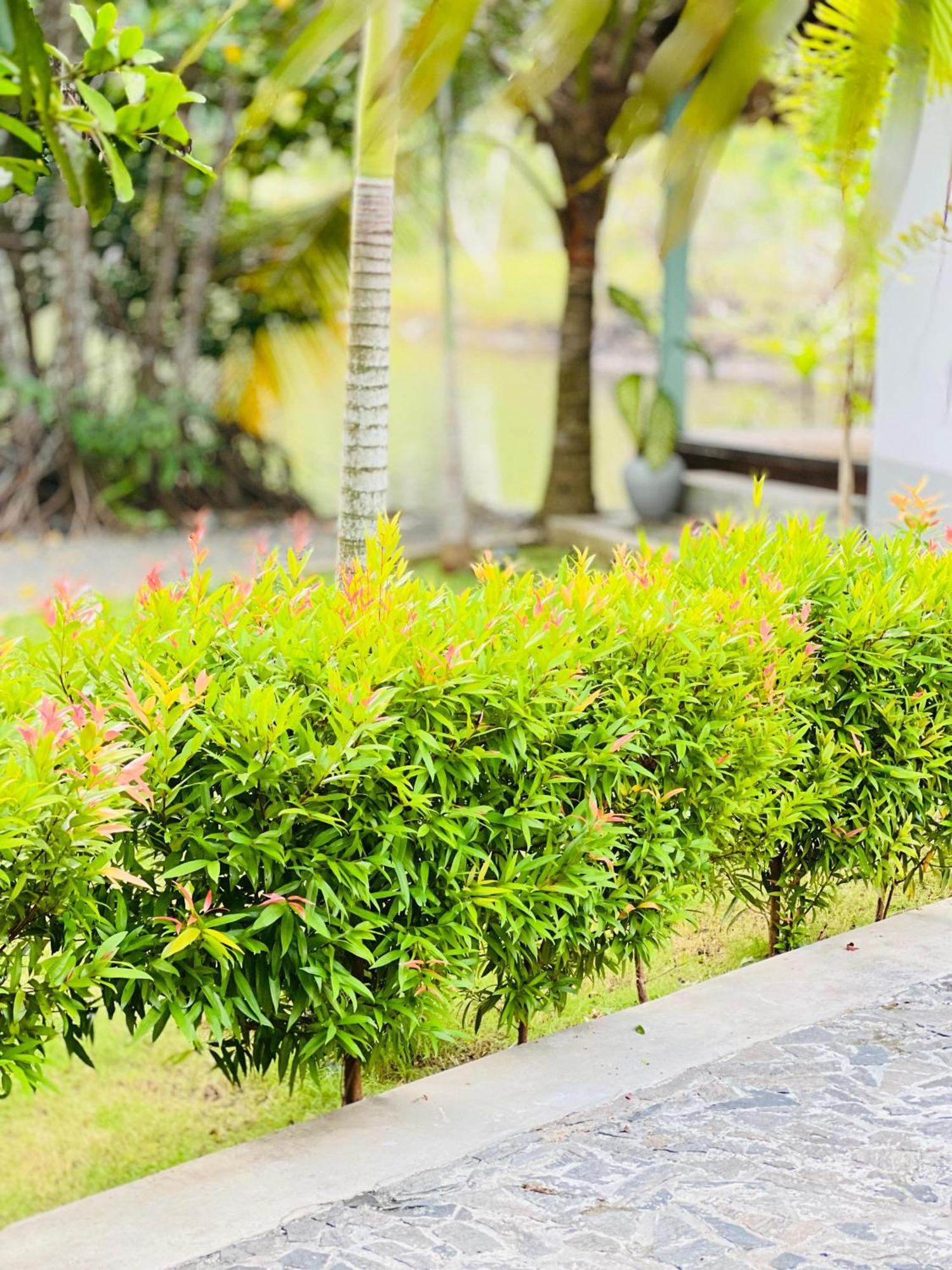 Water'S Edge Villa Ahangama Ngoại thất bức ảnh