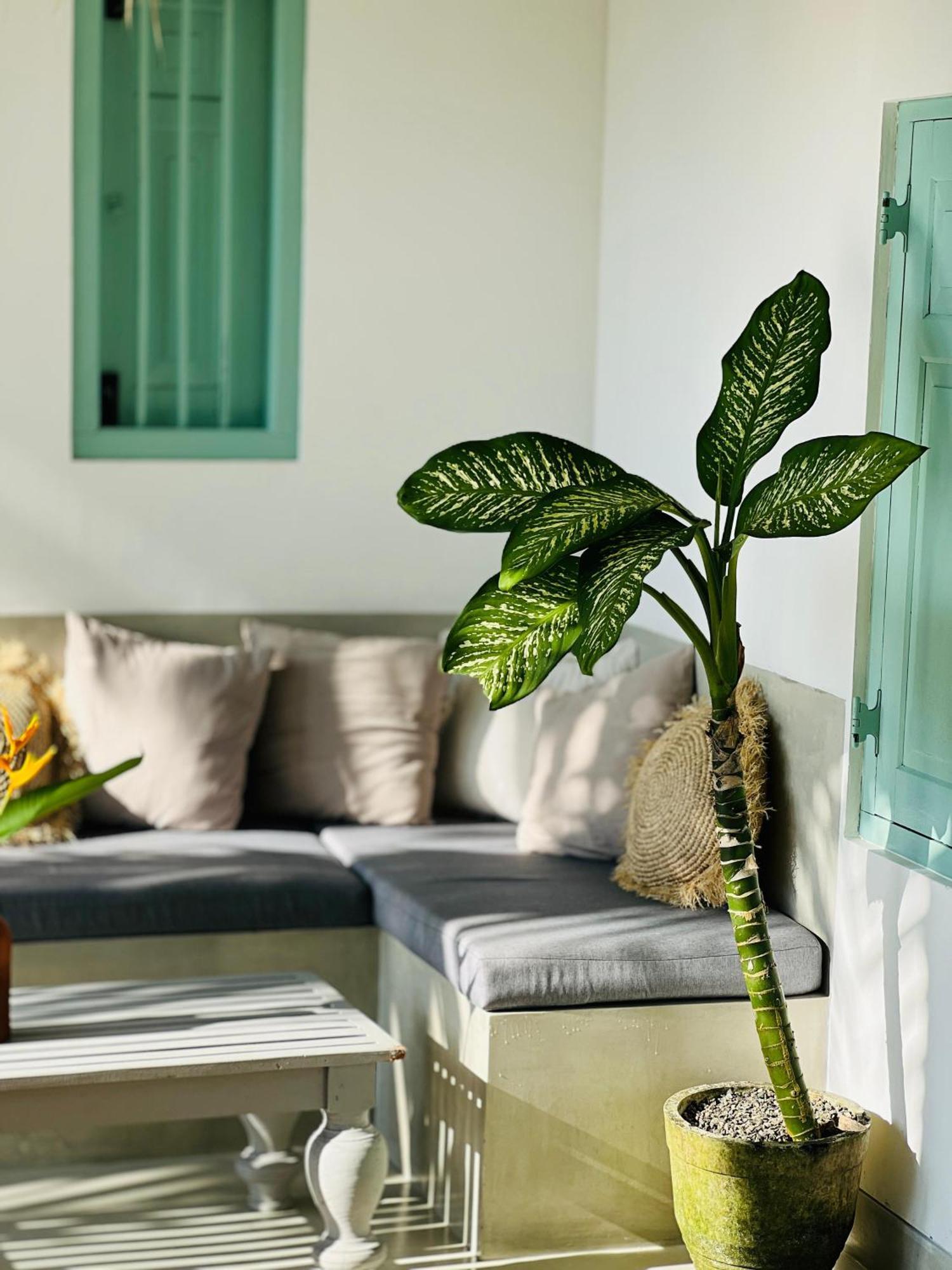 Water'S Edge Villa Ahangama Ngoại thất bức ảnh