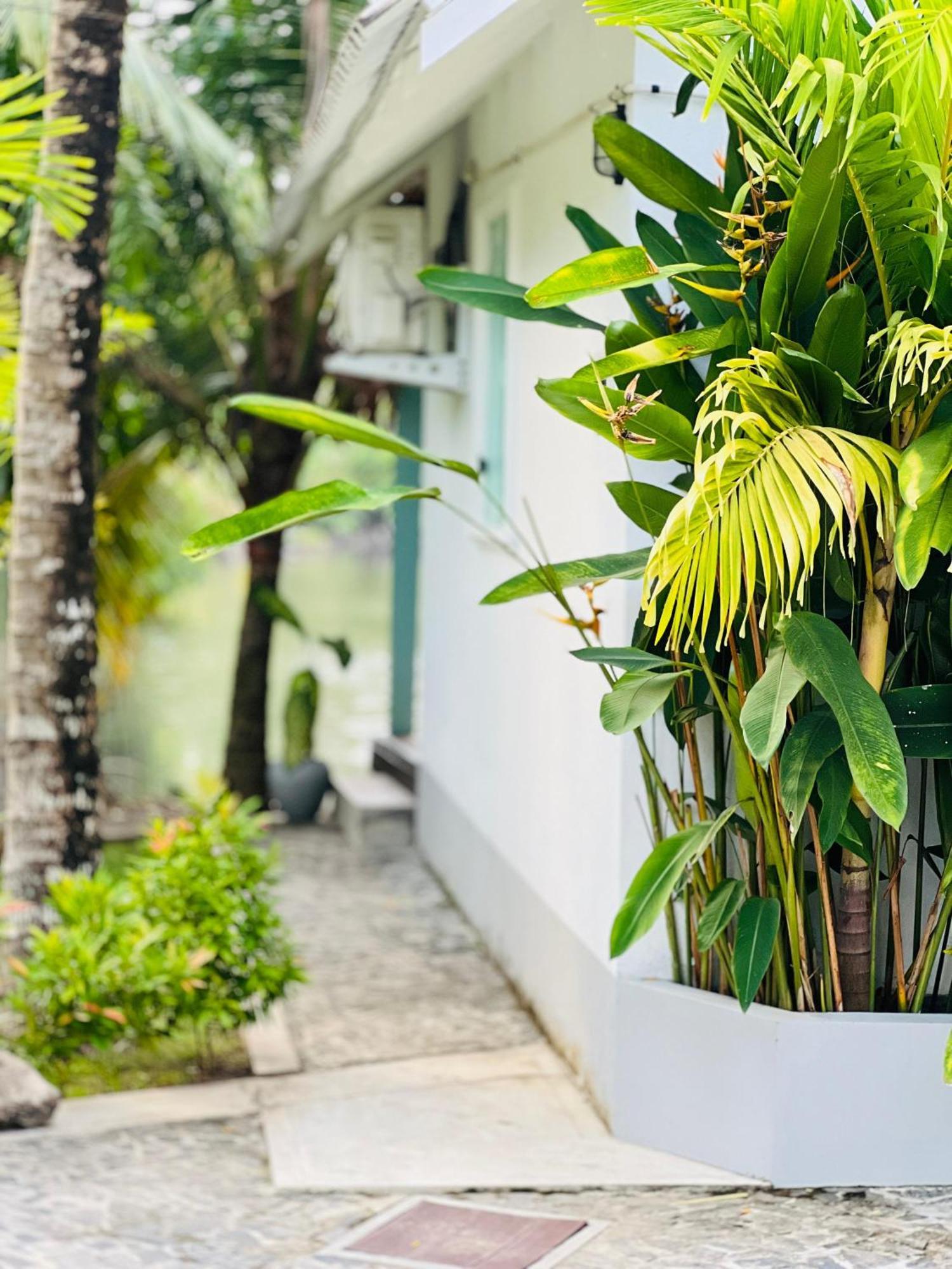 Water'S Edge Villa Ahangama Ngoại thất bức ảnh