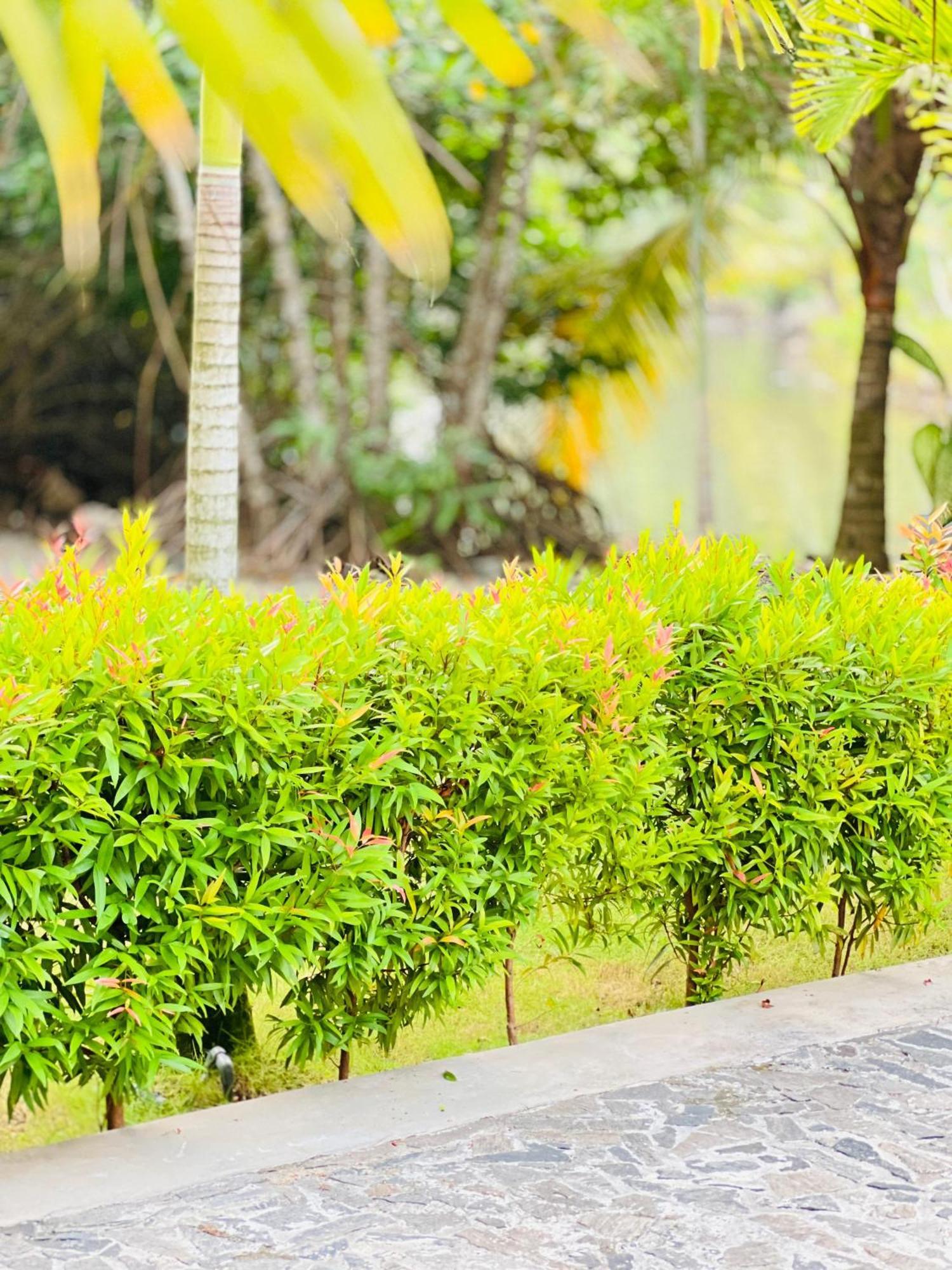 Water'S Edge Villa Ahangama Ngoại thất bức ảnh